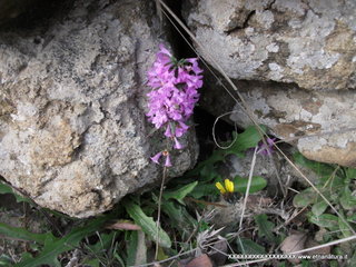 Montagna_Grande - 28-12-2012 10-28-23.JPG